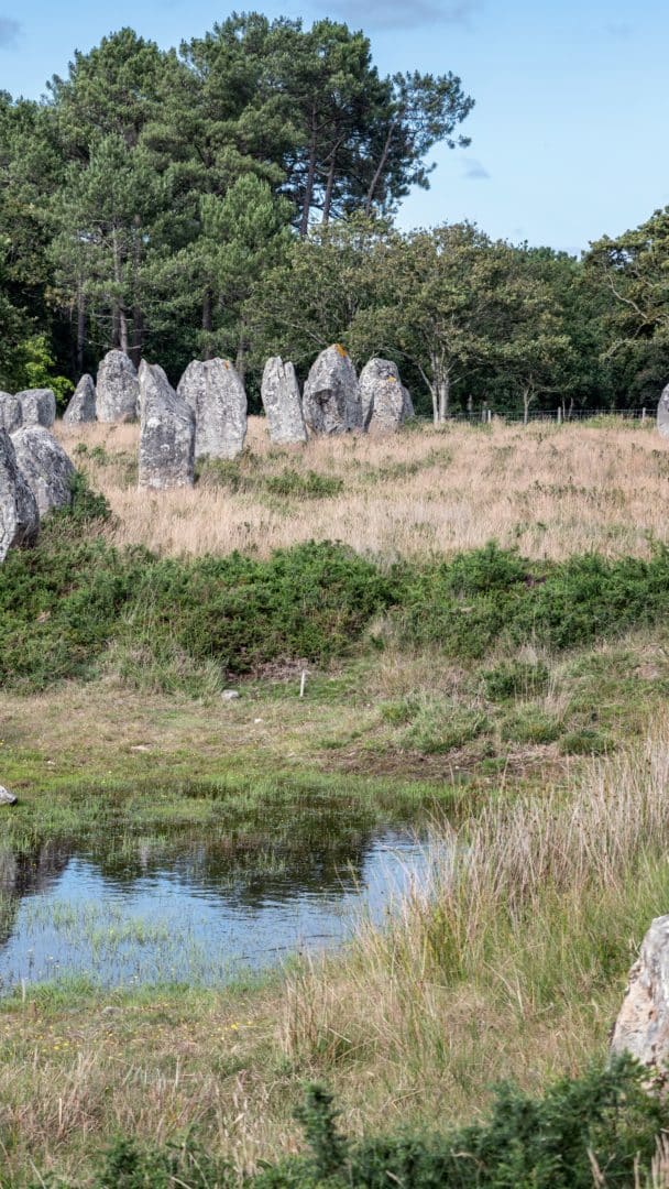 Alignements de menhirs à Carnac, France, dans la nature.