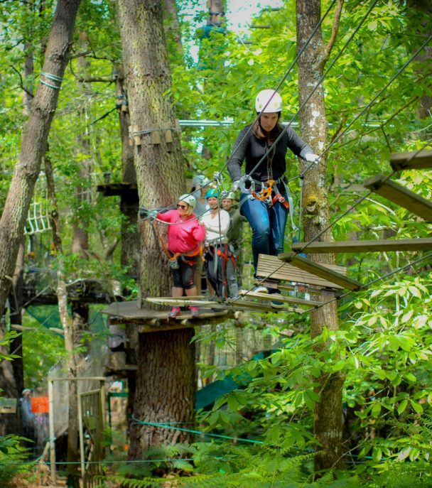 Parcours d'accrobranche en forêt avec harnais de sécurité.